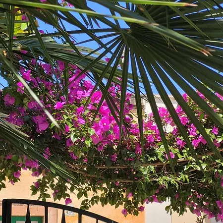 Nel Cuore Del Salento Apartmán *